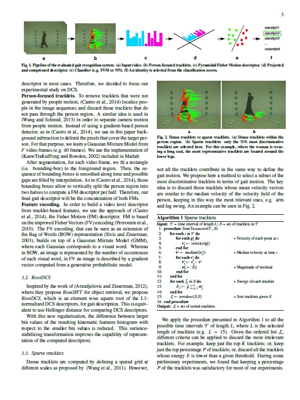 On how to improve tracklet-based gait recognition systems